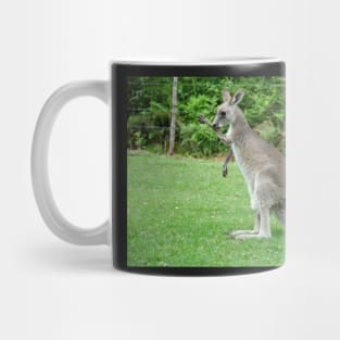 Australie - Newcastle, Kangourou Mug